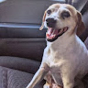 Meet your Posher, Dan